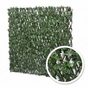 Treillis extensible Vigne Vierge