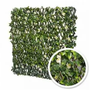 Treillis extensible Jasmin Fleuri