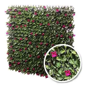 Treillis extensible Bougainvilliers