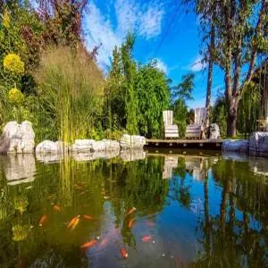 Membrane armée Alkorplan Natural Pool piscine naturelle