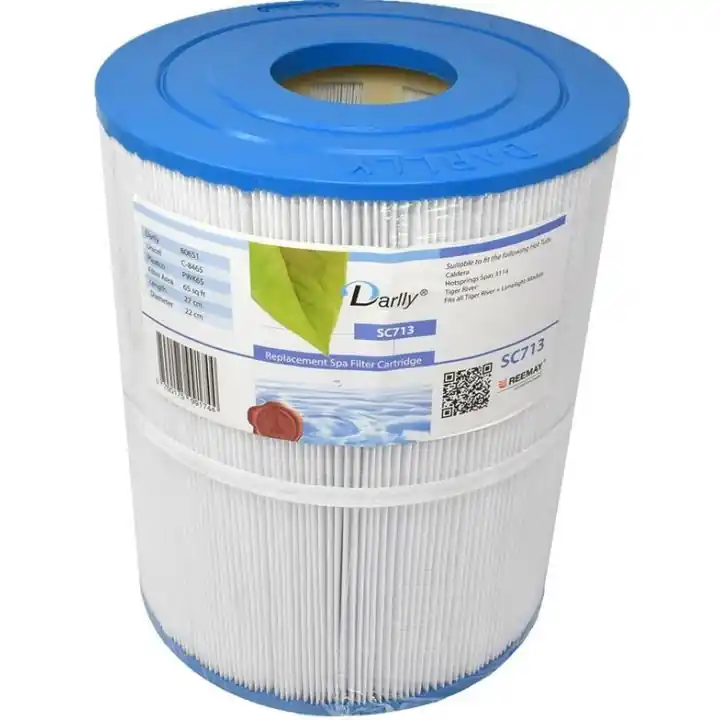 Filtre à cartouche Darlly SC713-80651-C-8465-PWK65-4