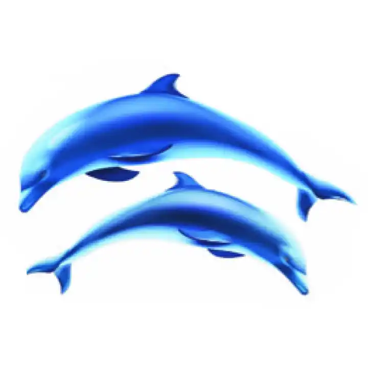 Décoration auto-collante 2 Dauphins