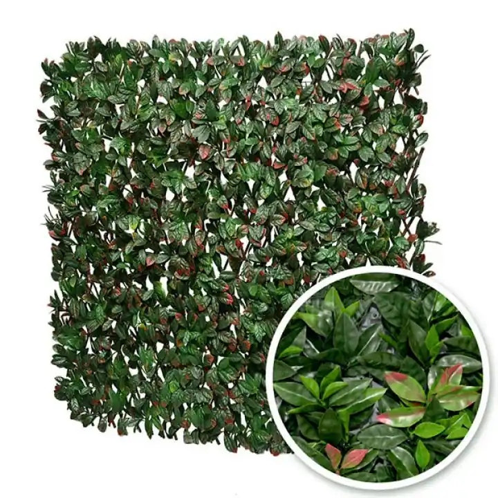 Treillis extensible Photinia 1m x 2m