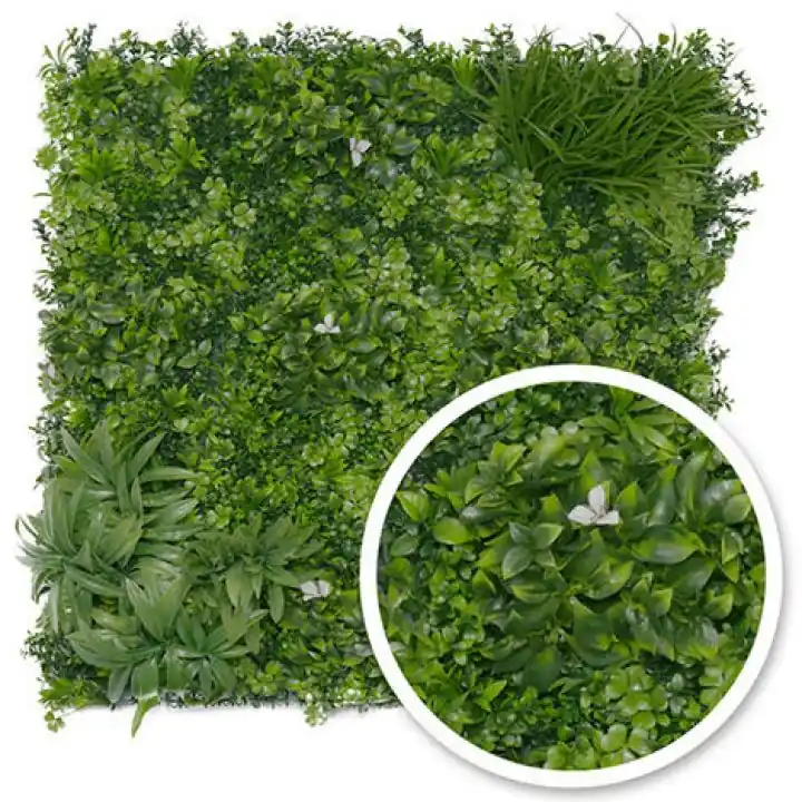Mur végétal Liseron 1m x1m