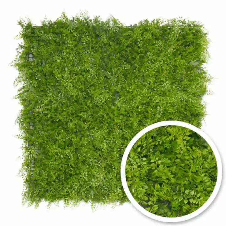 Mur végétal Fougère 1m x 1m